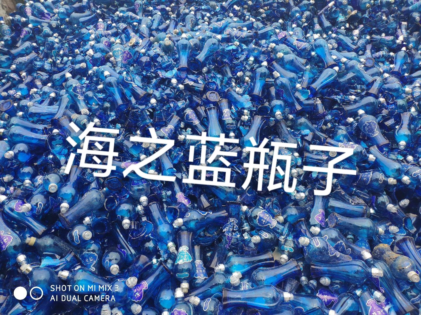 海之藍瓶回收