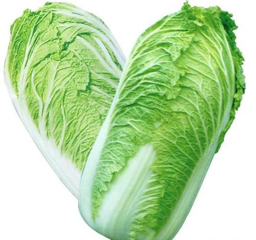 19.大白菜