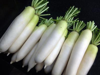 73.白蘿卜