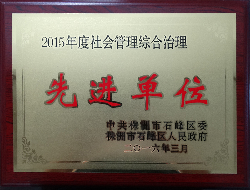 2015年度社會管理綜合治理先進單位.jpg